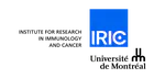 L'IRIC lance l'édition 2024 de son concours de recrutement pour la mâitrise ou le doctorat.